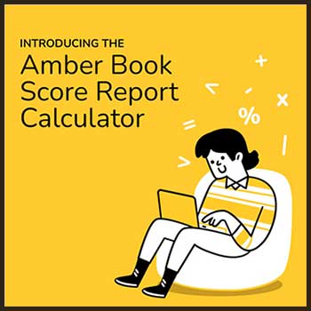 The Amber Book