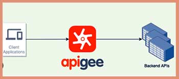 Apigee 