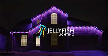 Jellyfish Lighting